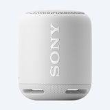 Portable Speaker