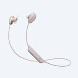 Sports Earphones