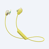 Sports Earphones